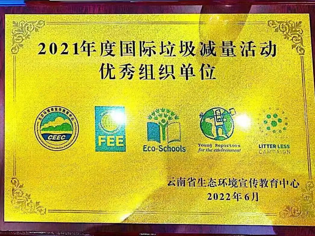 微观盘龙