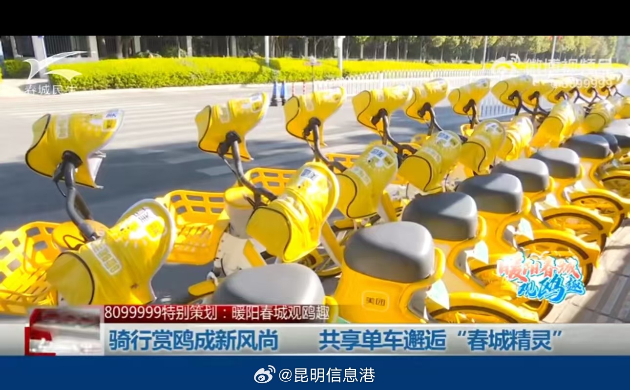 昆明信息港微博