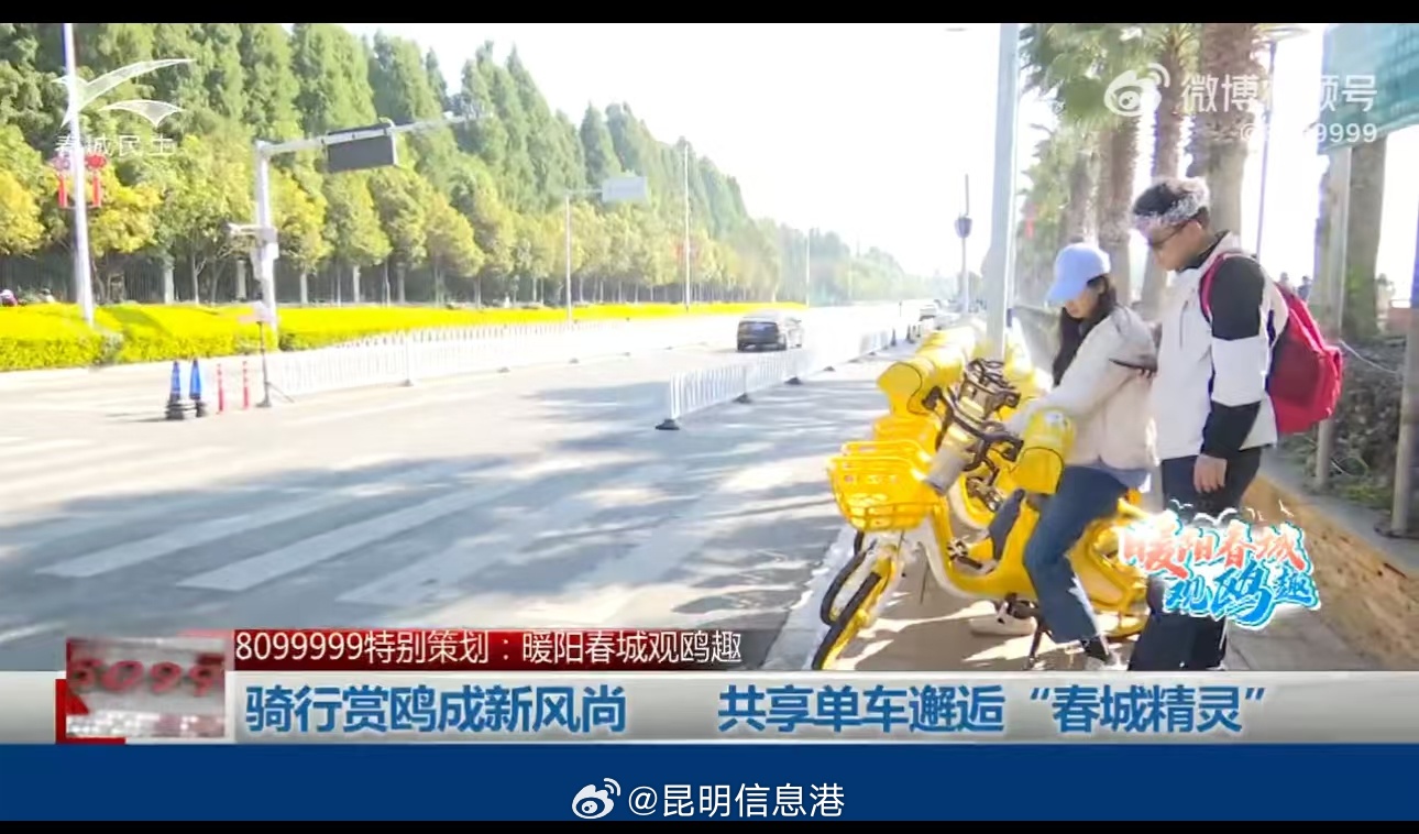 昆明信息港微博