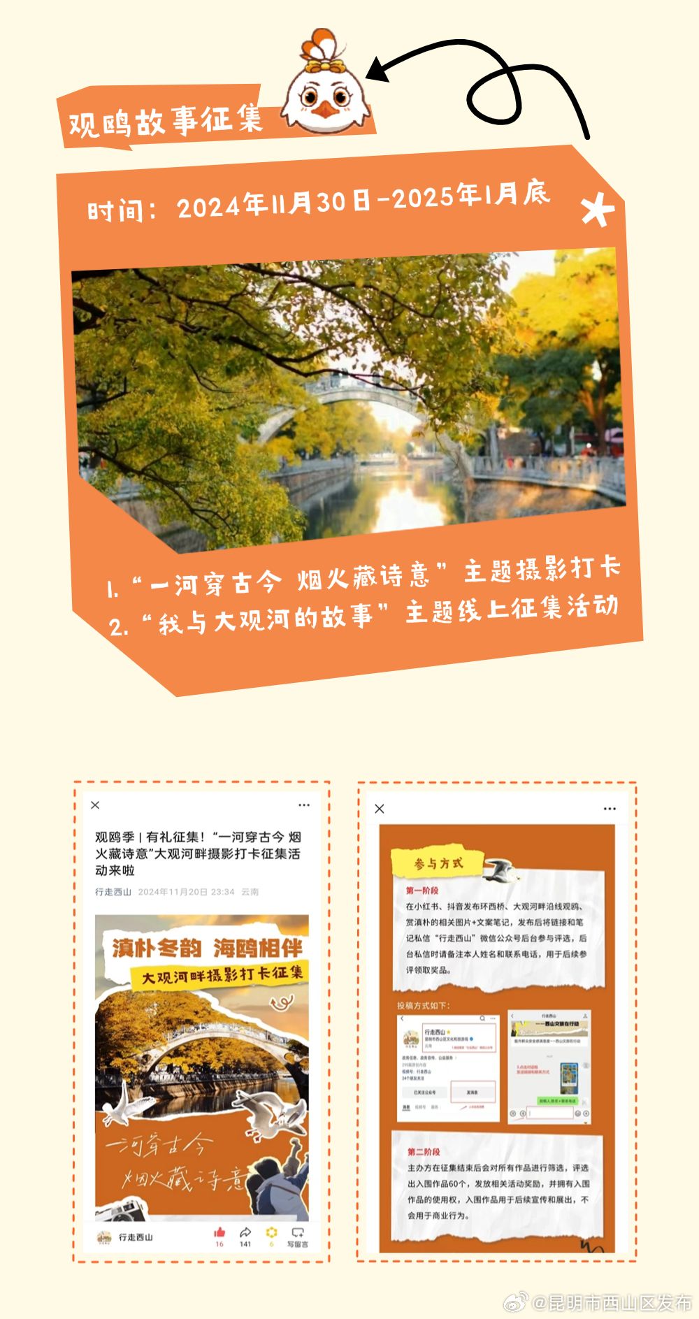 昆明市西山区发布
