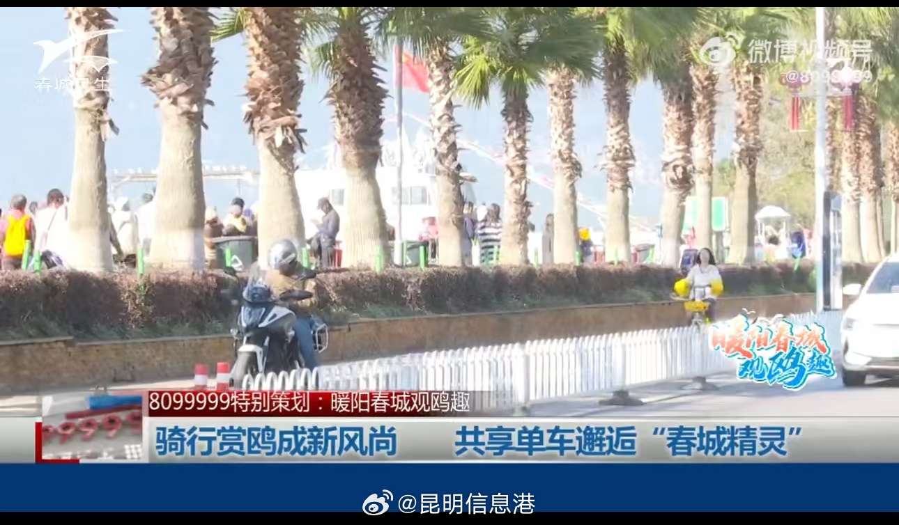 昆明信息港微博