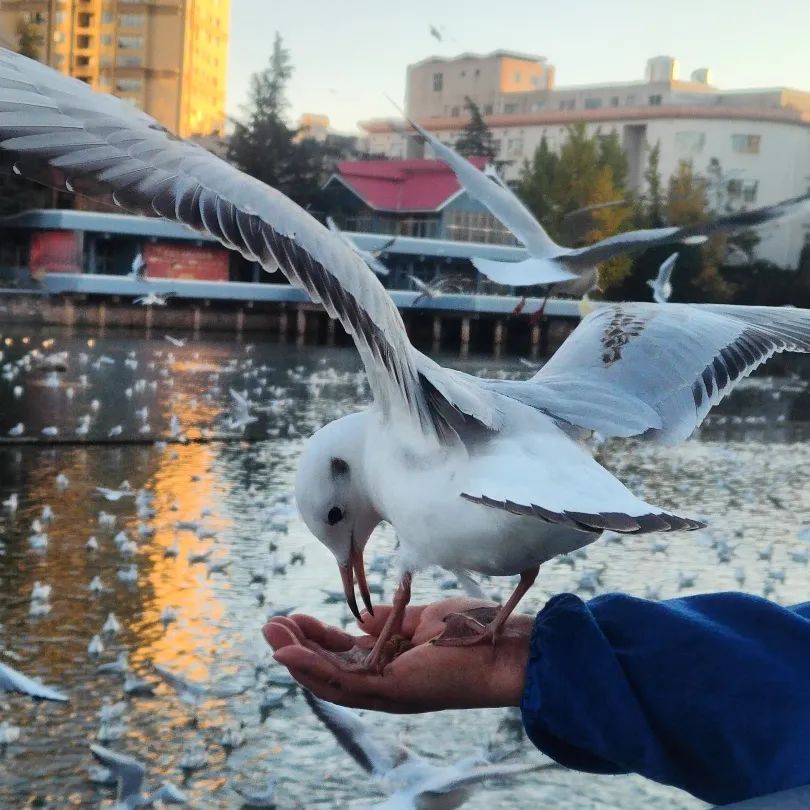 FM954汽车音乐广播