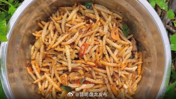 开屏策划｜云南人的餐桌，到底有多“野”？胆小慎点！