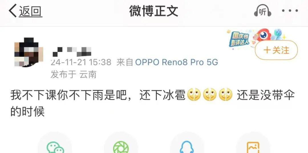 掌上春城微信