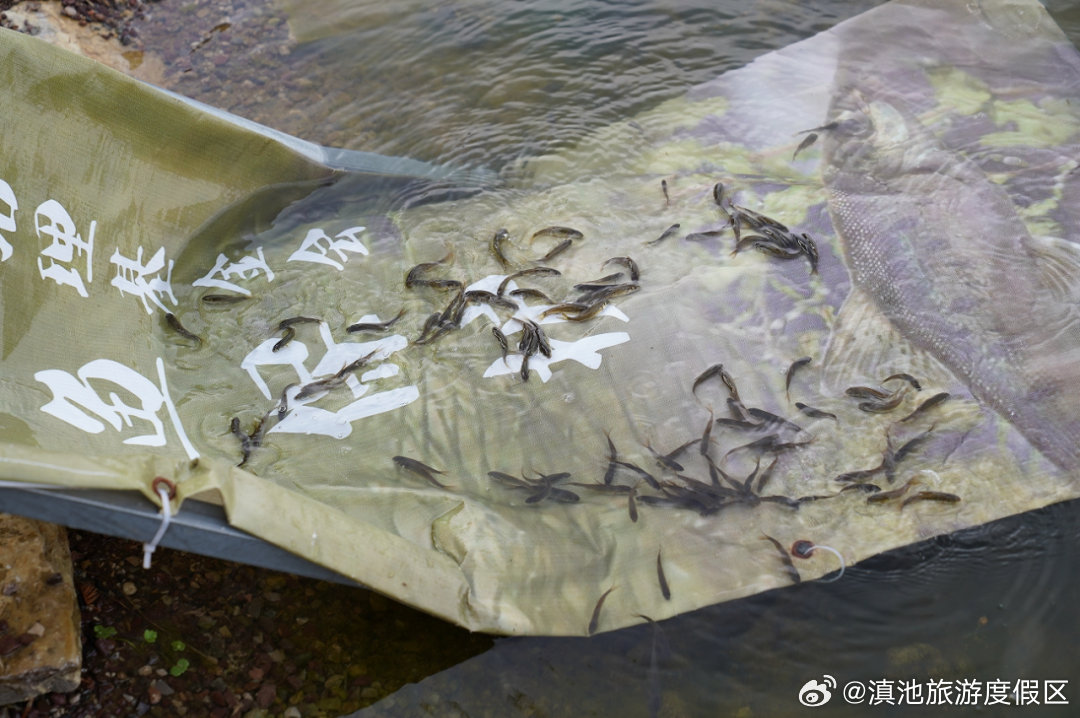 滇池旅游度假区