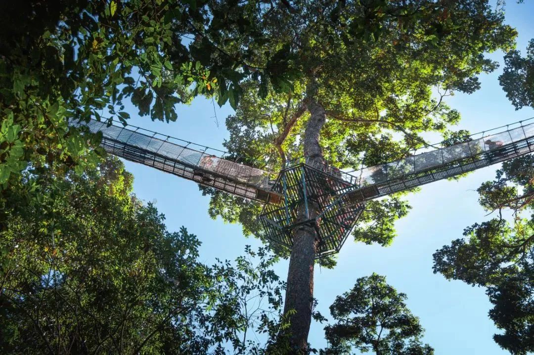 8099999街头巷尾微信