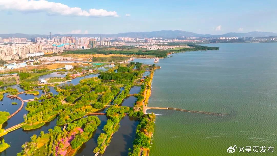 呈贡区滇池湖滨湿地全部移交度假区统一管护运营