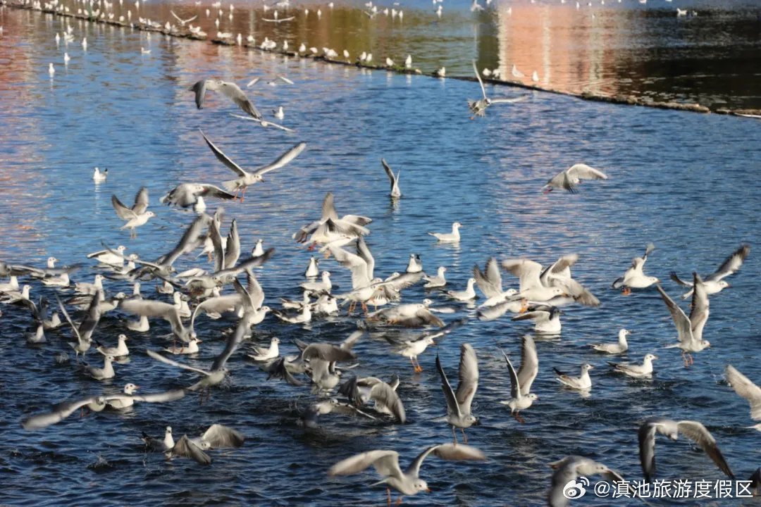 滇池旅游度假区