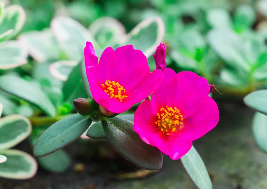 晋宁 诗意的栖居地