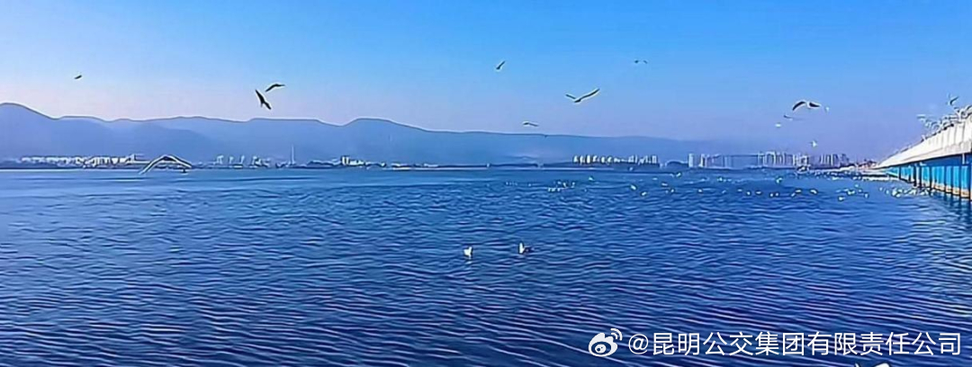昆明公交集团有限责任公司