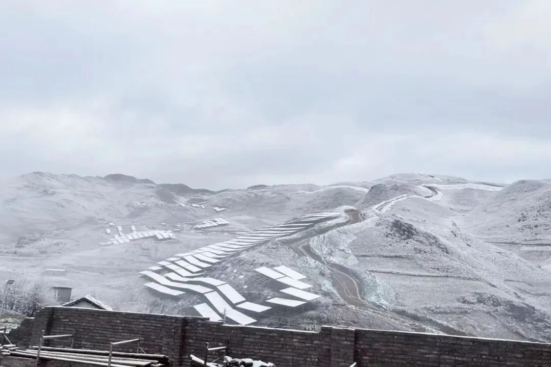 8099999街头巷尾微信