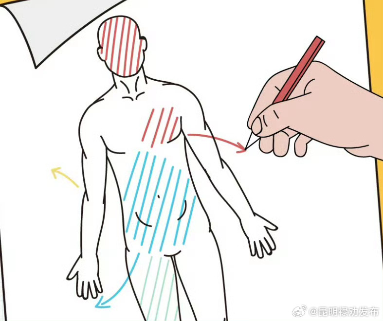 脑和胃肠有条情绪专线