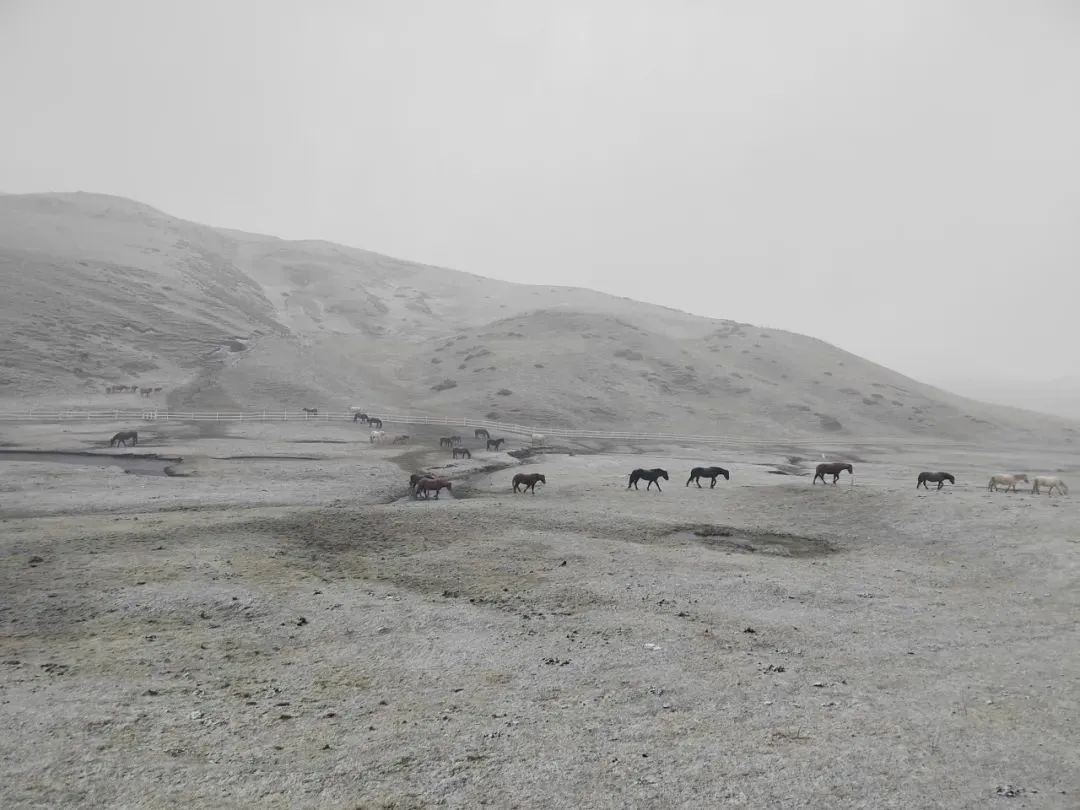 8099999街头巷尾微信