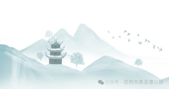 昆明市黑龙潭公园