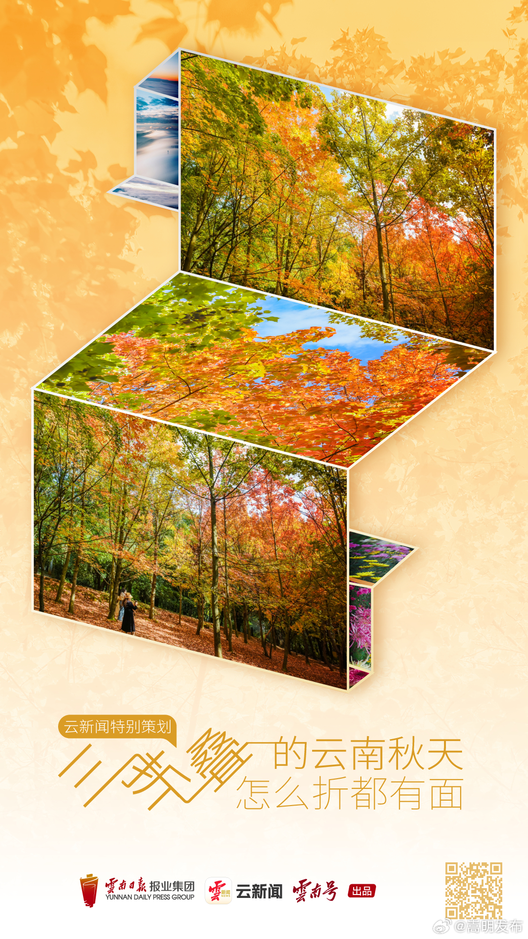 云新闻特别策划丨三折叠的云南秋天，怎么折都有面！