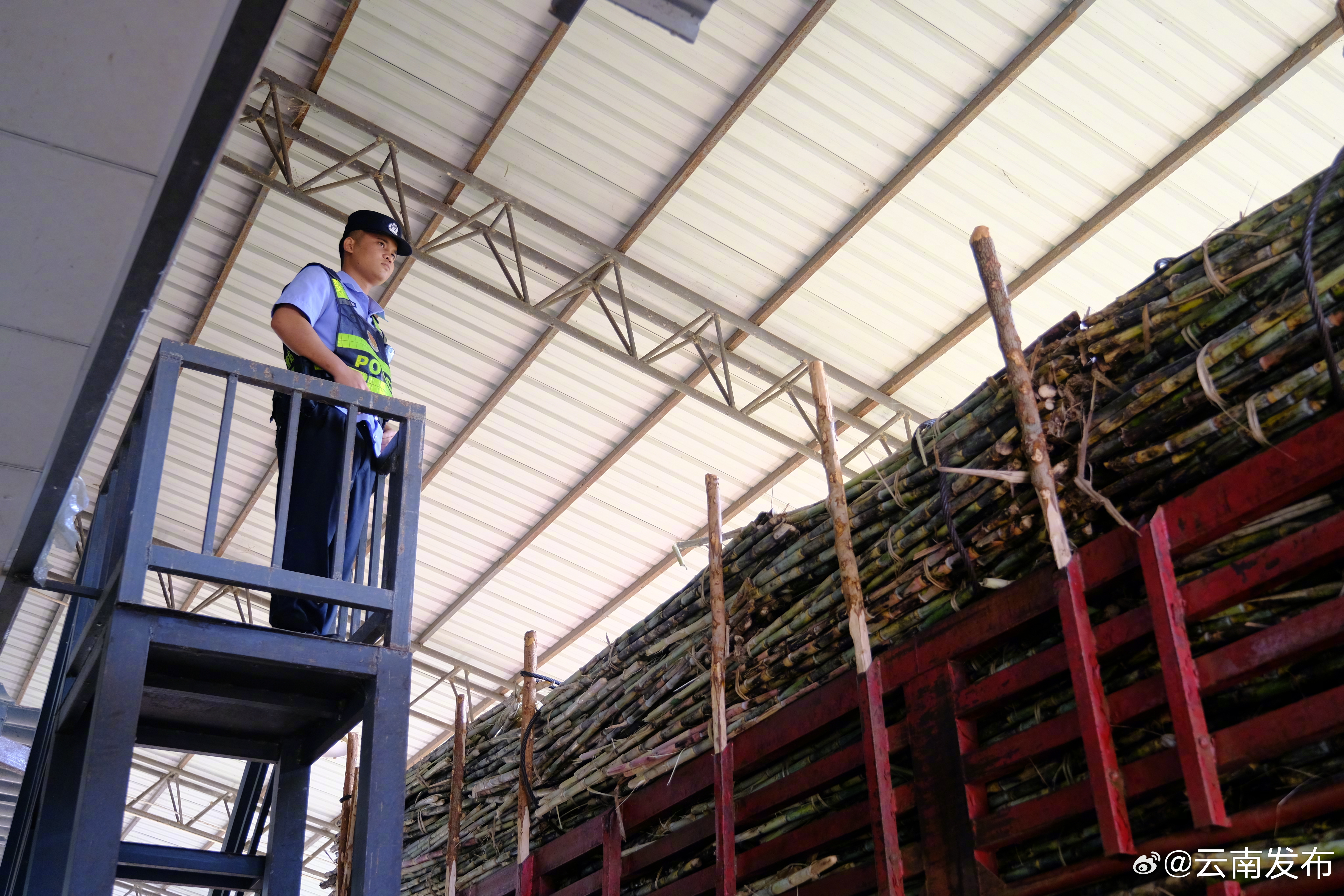 突破30万人次！中老边境勐满口岸出入境旅客同比增长475%