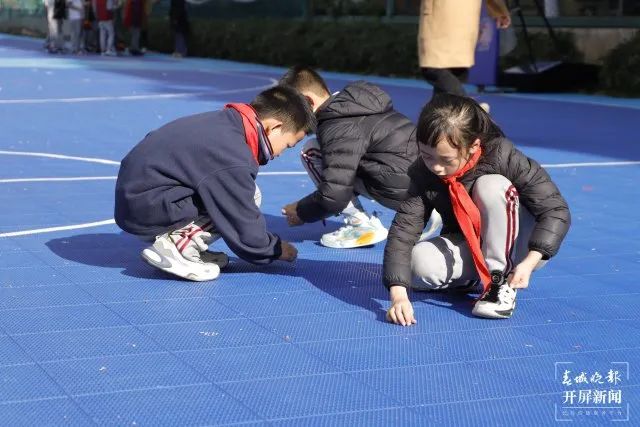盘龙教育