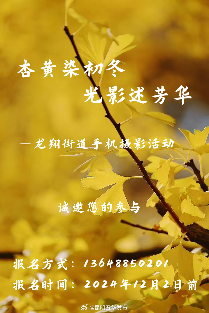 “杏黄染初冬 光影述芳华”龙翔街道手机摄影活动邀您参与