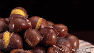 栗子是一种四高坚果