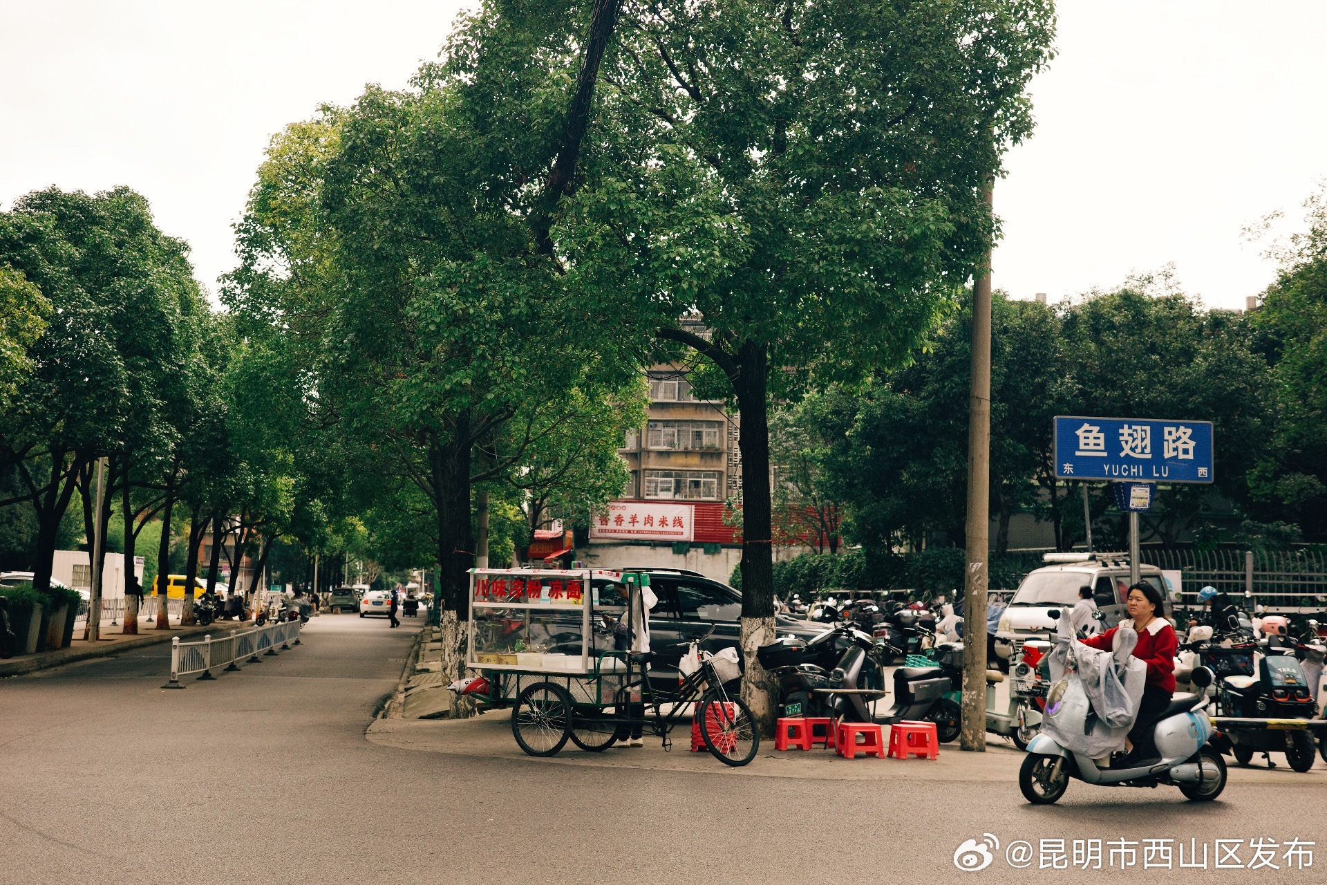 昆明市西山区发布