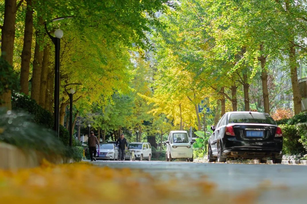 晋宁 诗意的栖居地