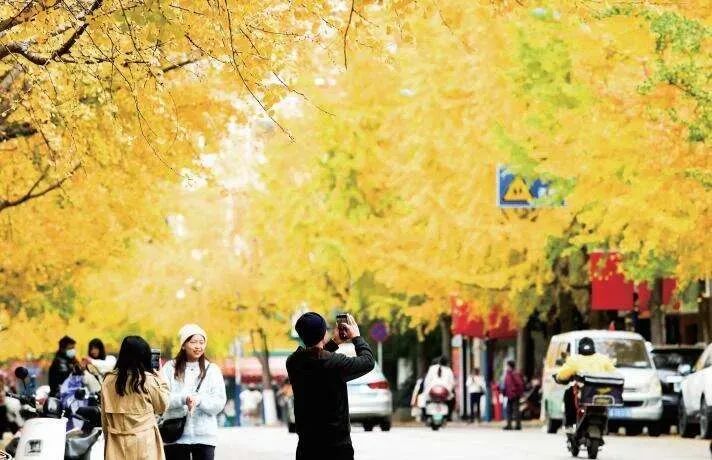 8099999街头巷尾微信