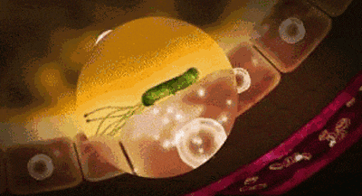 经常口臭的人可能感染幽门螺杆菌了