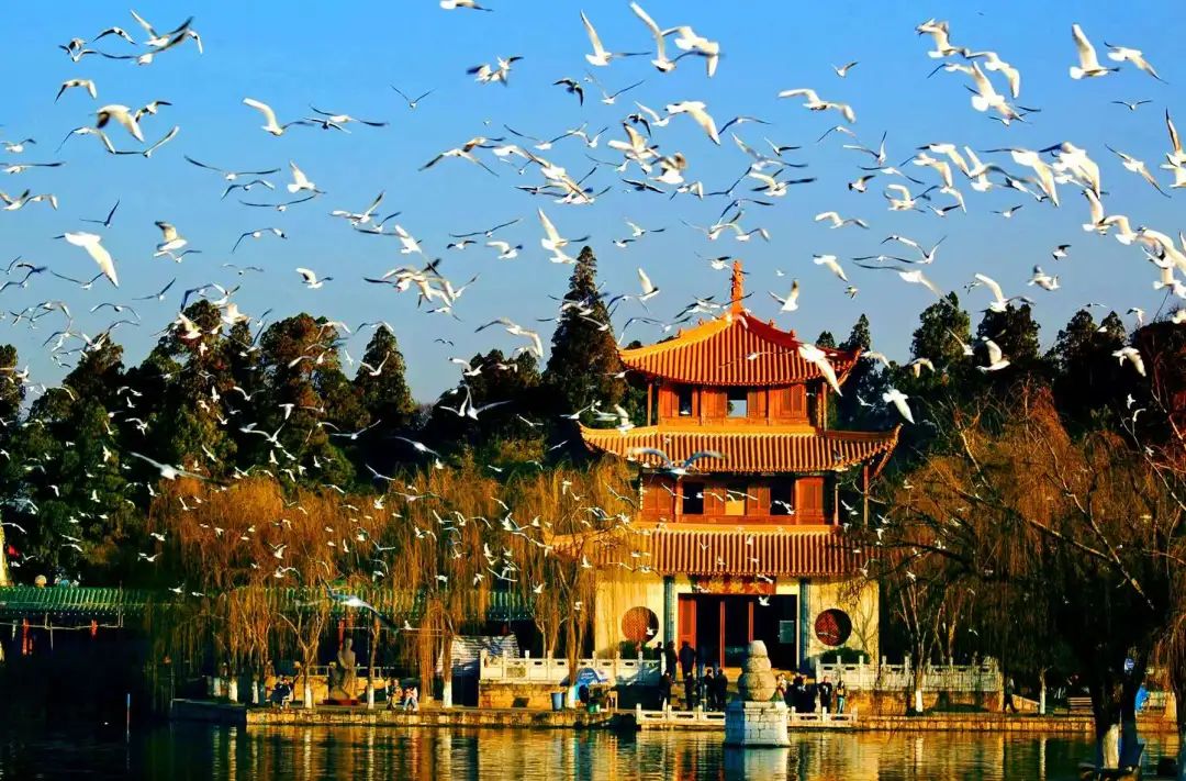 FM954汽车音乐广播