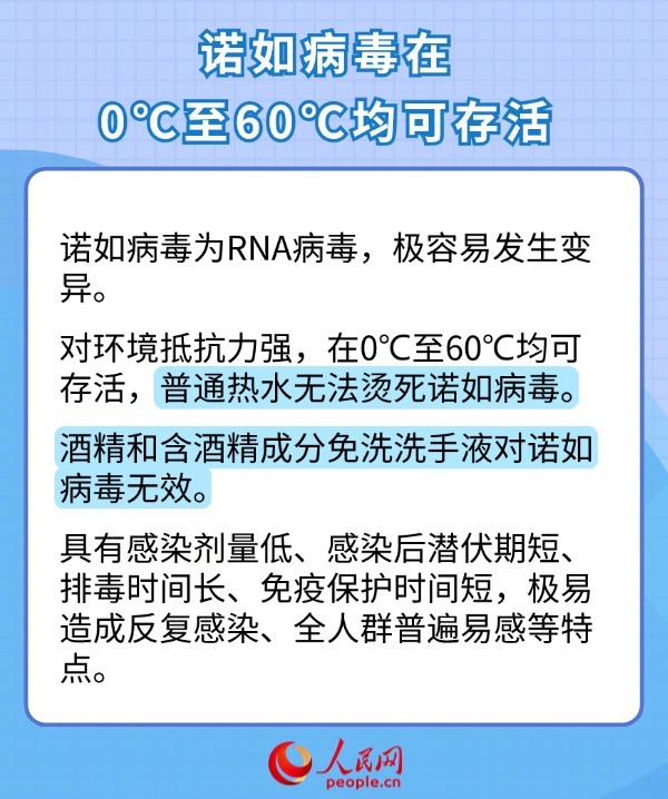 人民网