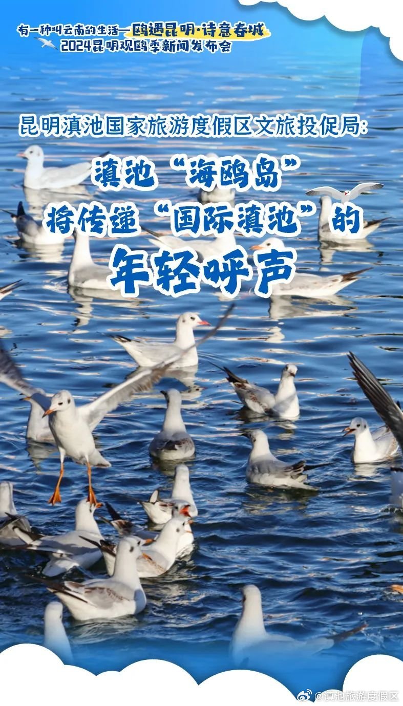 “海鸥岛”即将亮相 海埂大坝再添新亮点