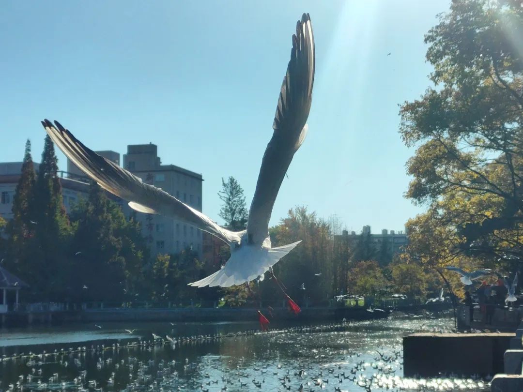 FM954汽车音乐广播