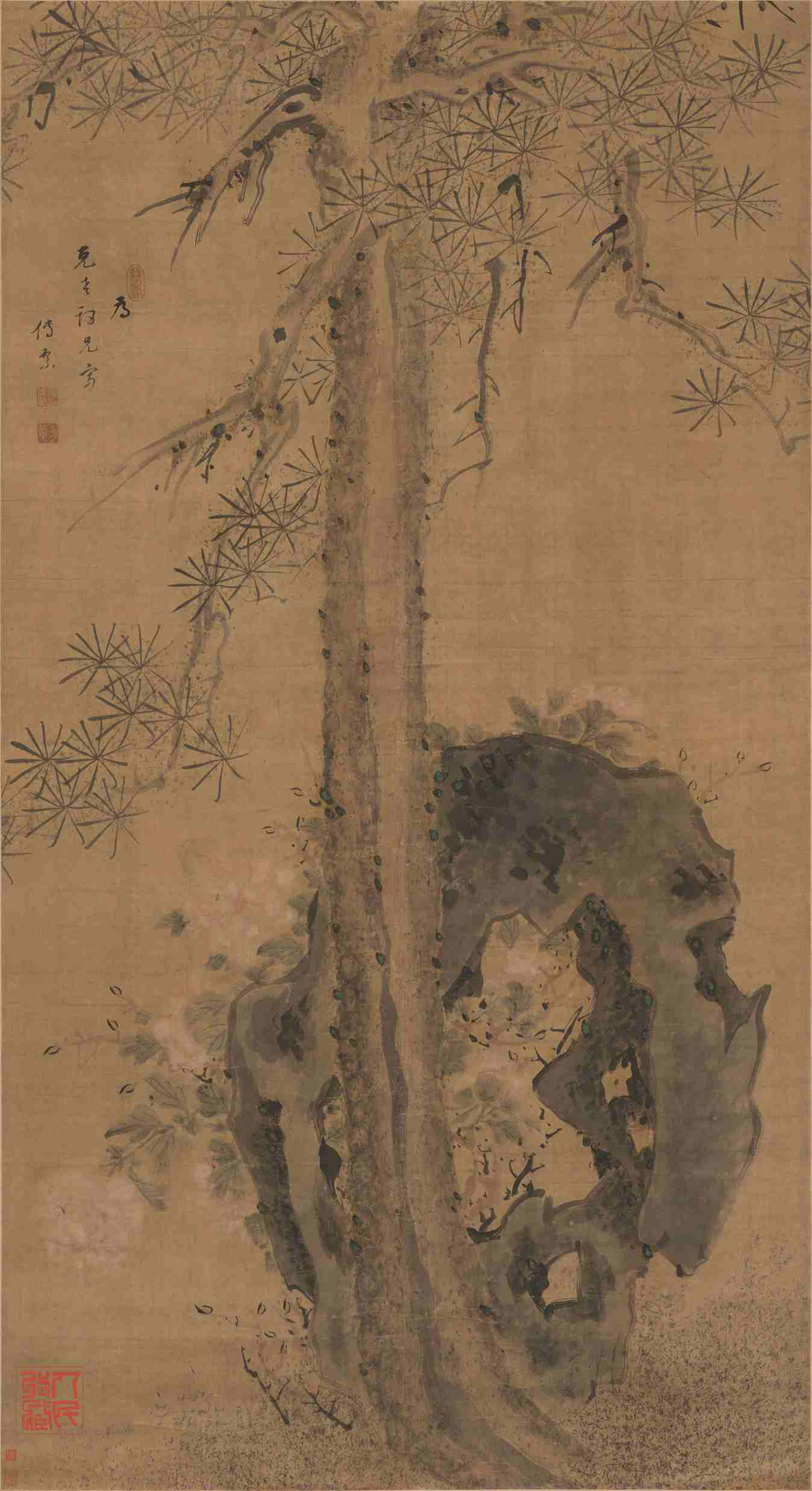 人民网