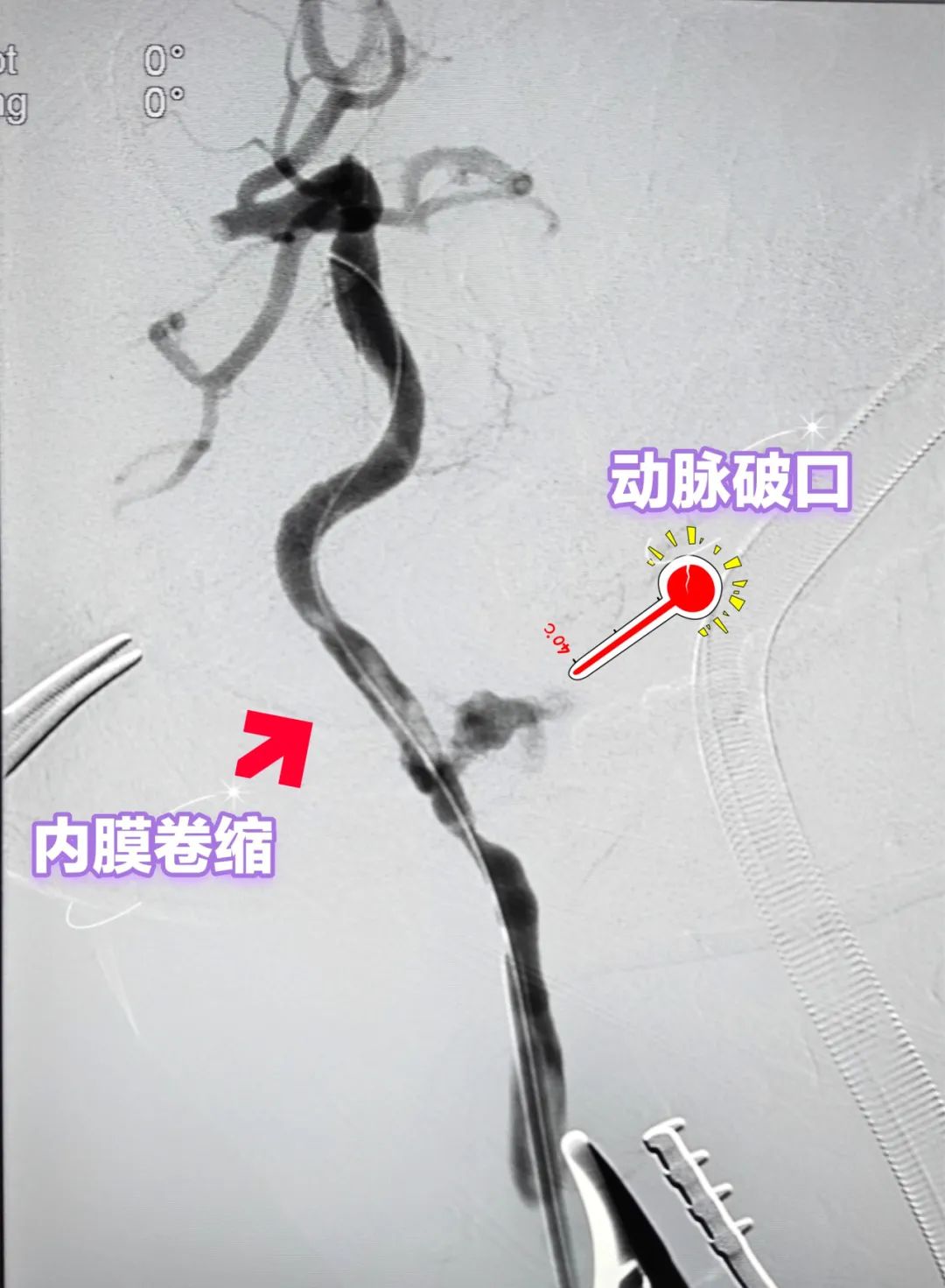 云南省第三人民医院