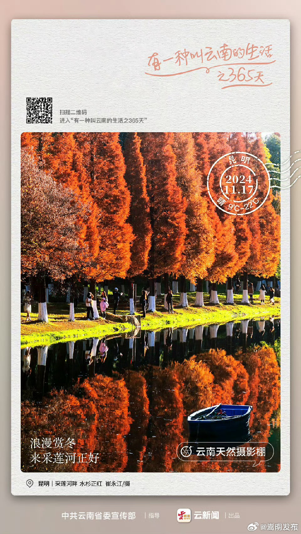 水杉红了，打卡时间到——嵩明县之365天