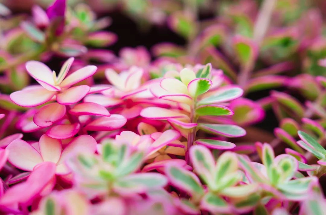 晋宁 诗意的栖居地