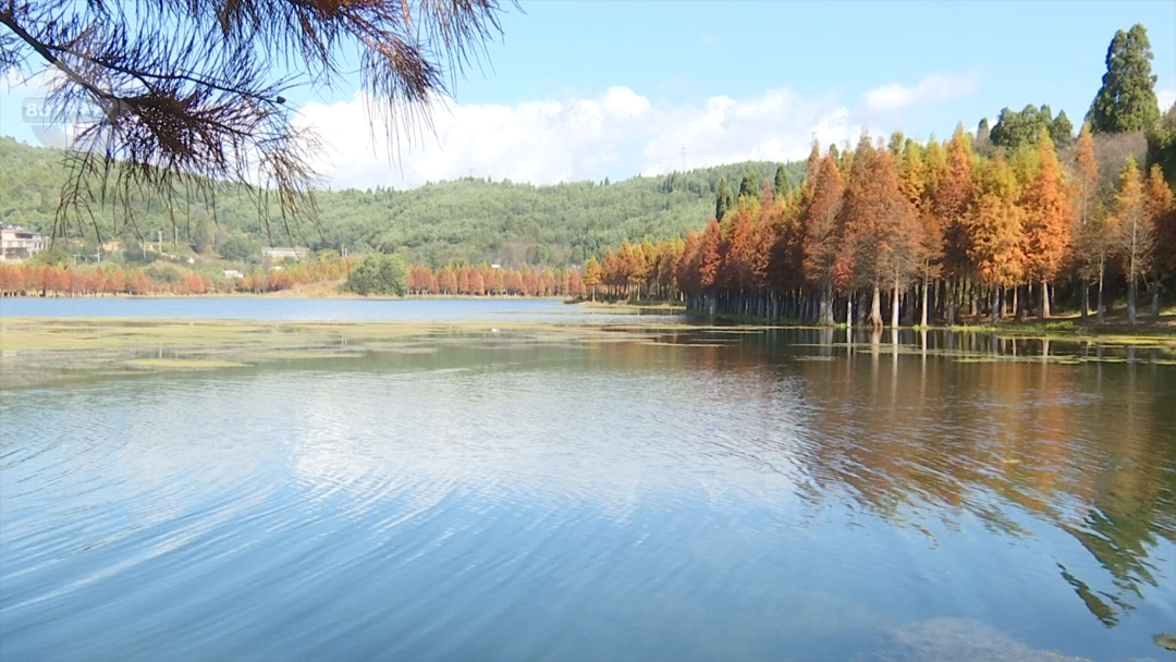 8099999街头巷尾微信