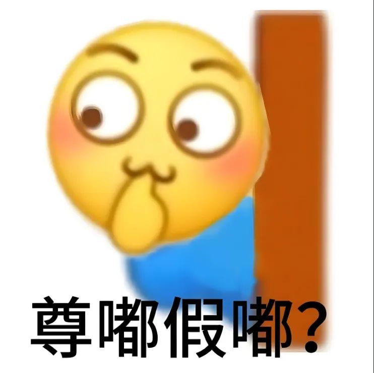 云南政法