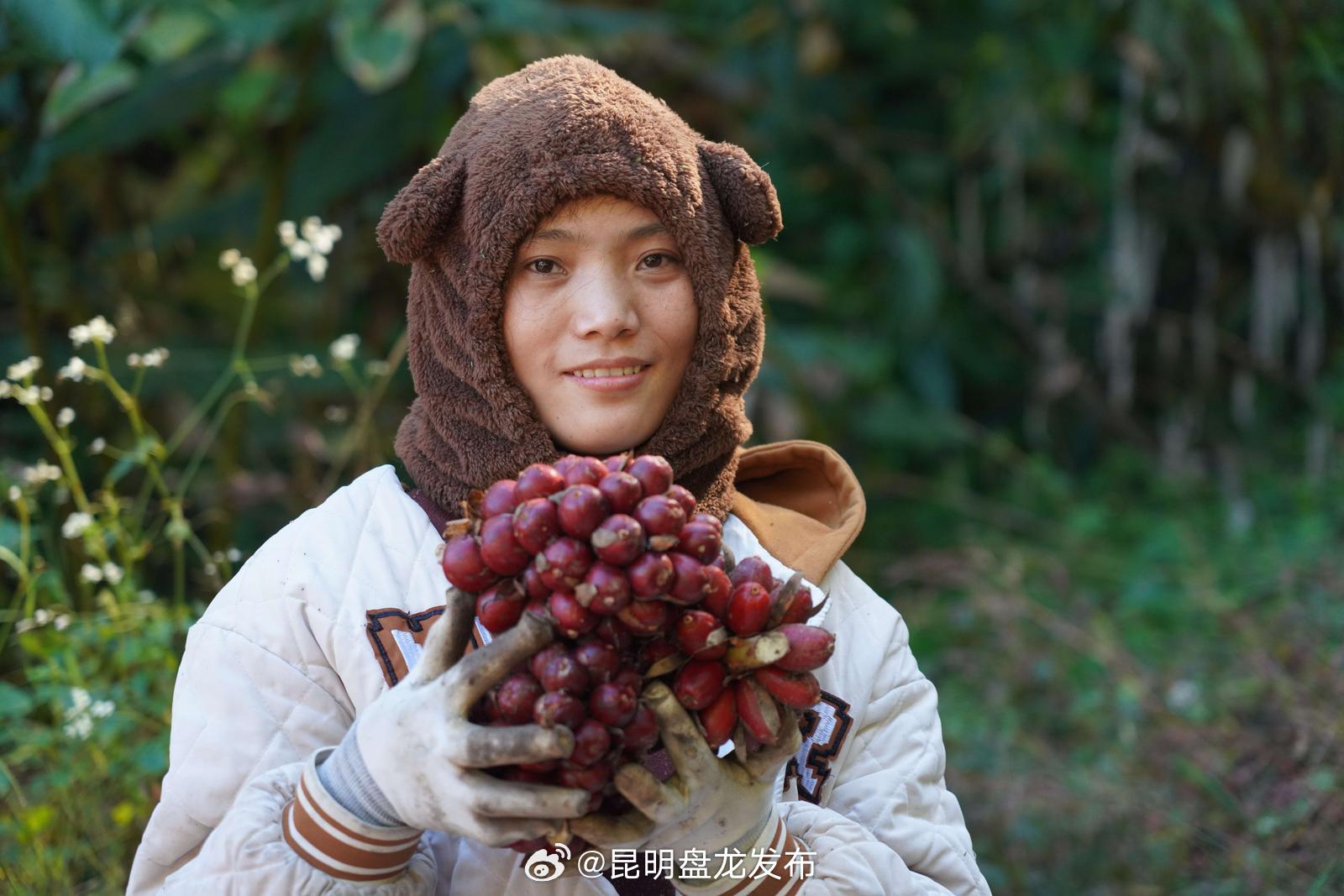 乡村振兴 | 古登乡：小小草果正成为群众增收致富“金果果”