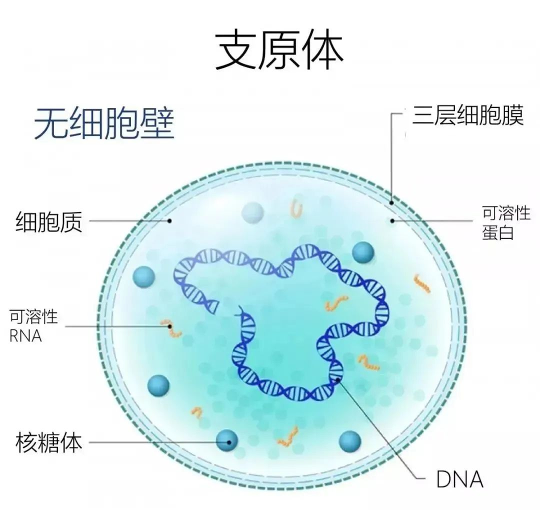 都市时报