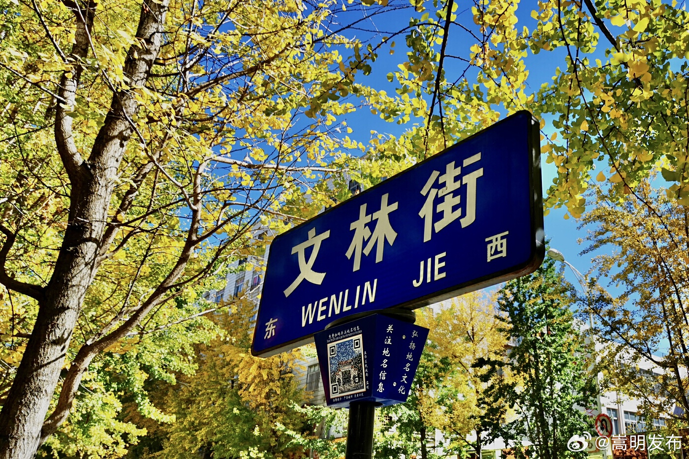 云迹青年｜重构附近，让历史徜徉在生活中