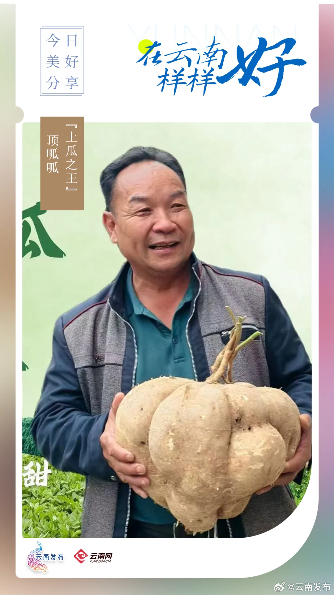云南发布