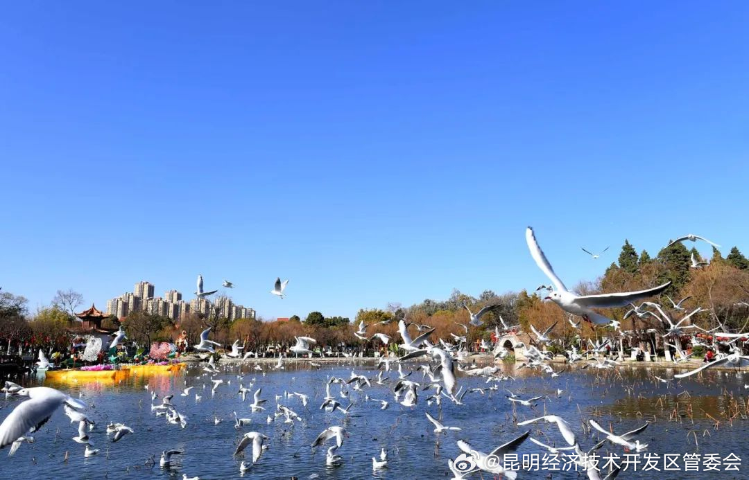 @观鸥季旅游团队 交通线路指引看这里→