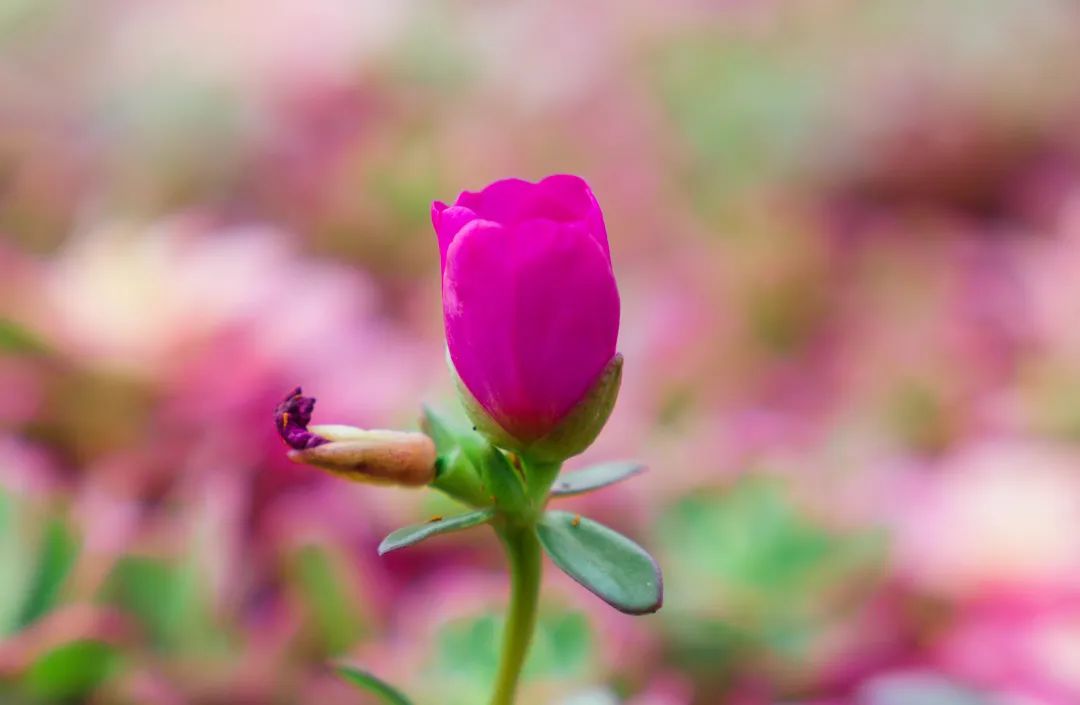 晋宁 诗意的栖居地