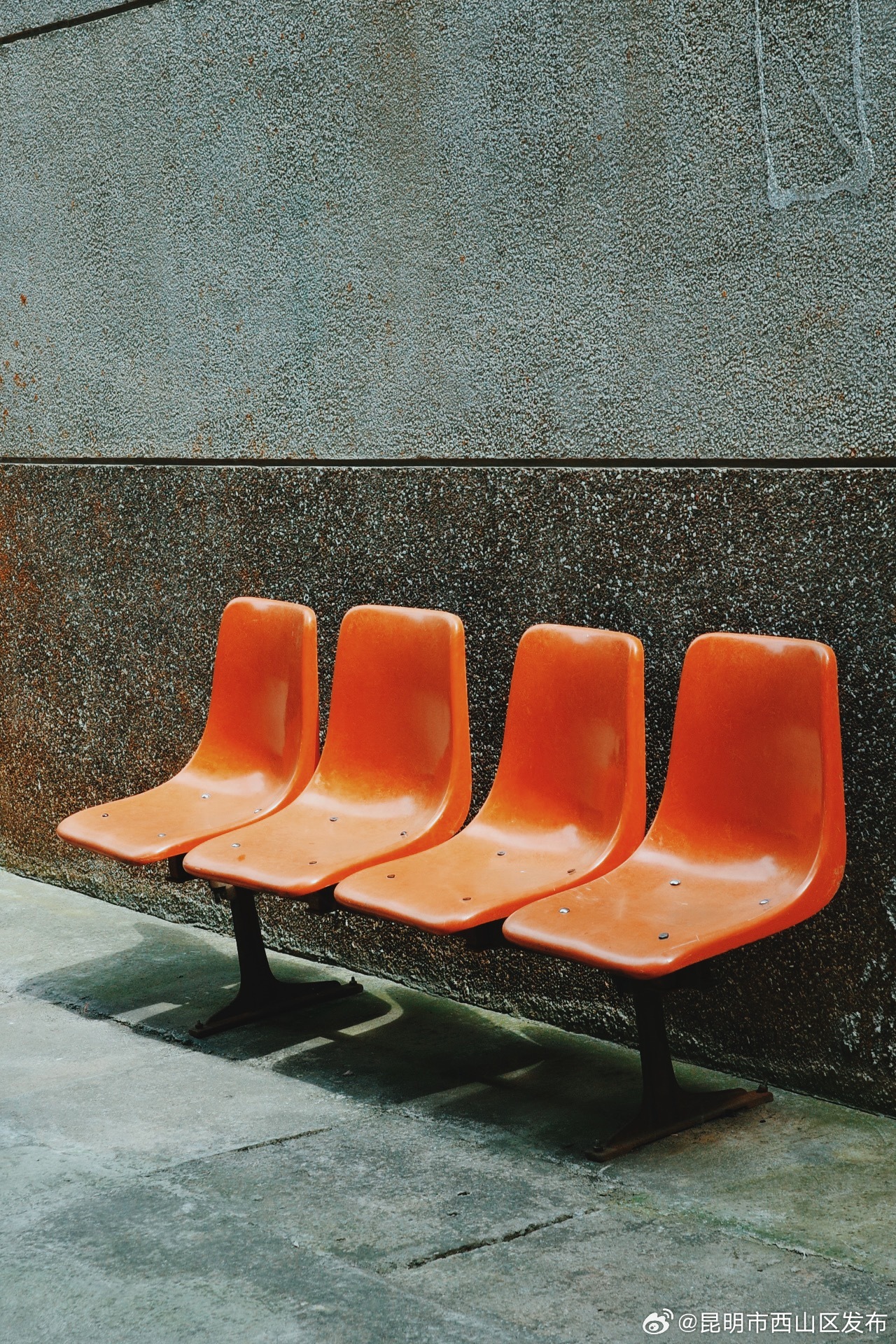 昆明市西山区发布