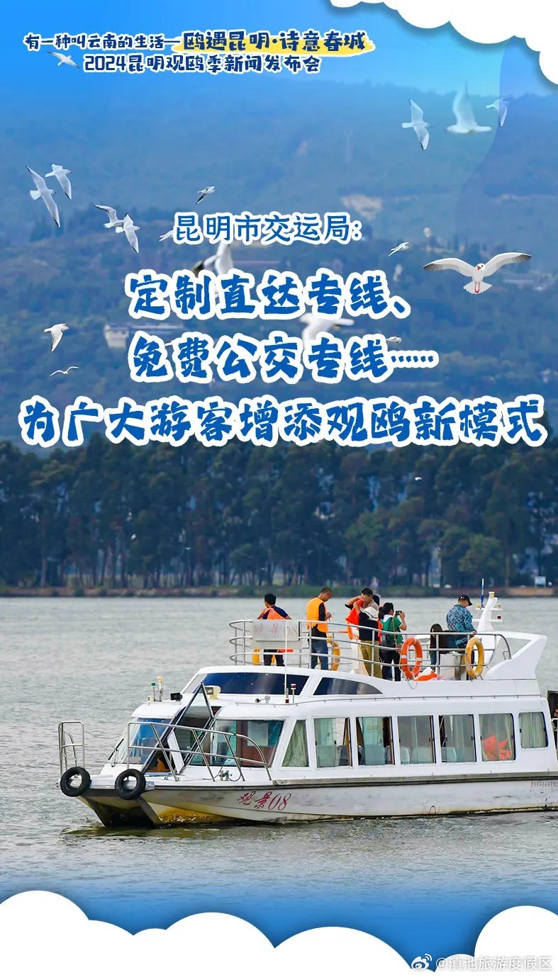 “鸥”遇昆明上车就出发！水路陆路专线直达观鸥前线