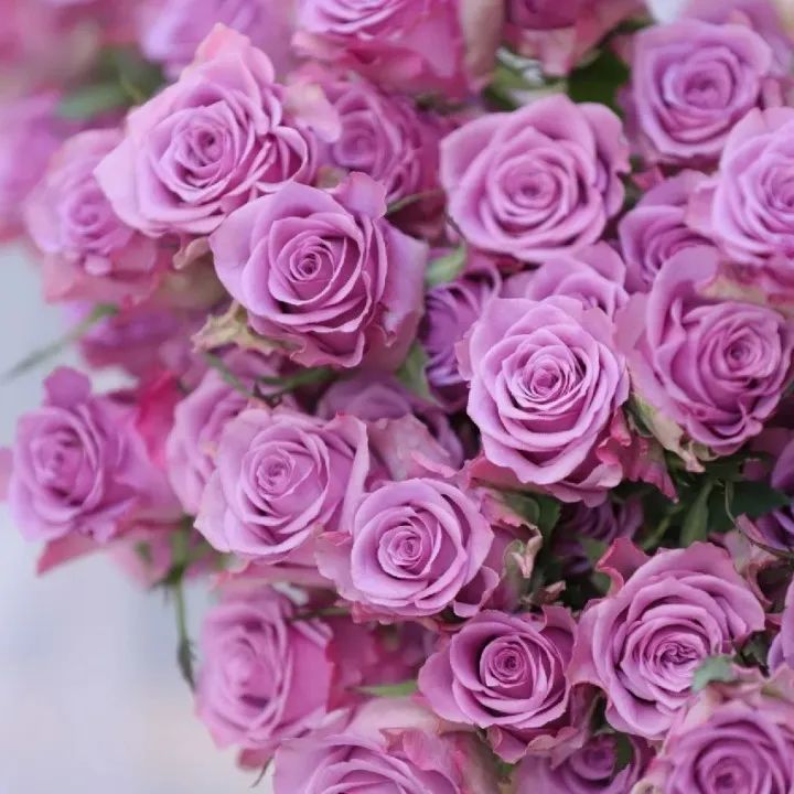 晋宁 诗意的栖居地