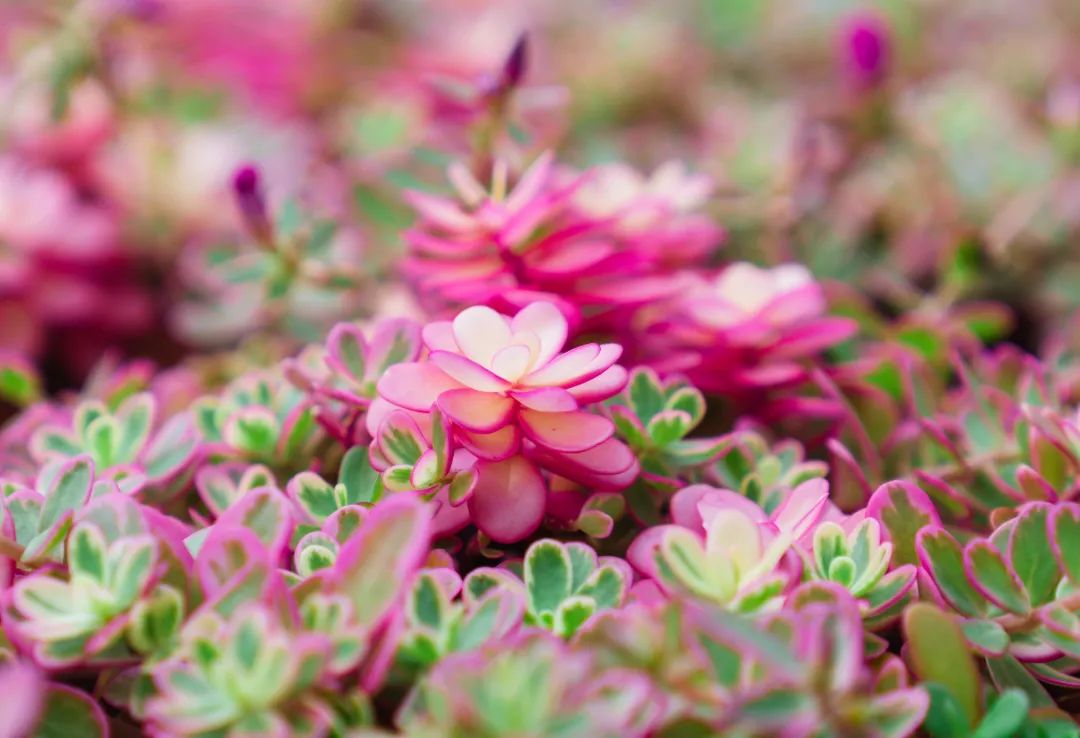 晋宁 诗意的栖居地