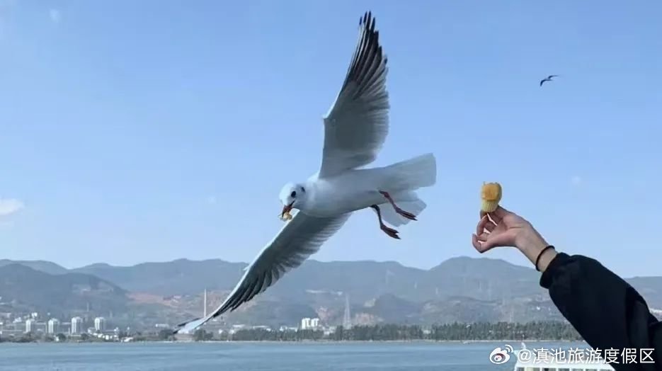 滇池旅游度假区