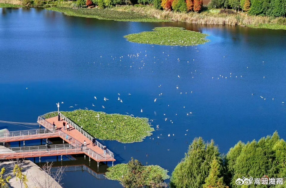 云南省未来24小时天气预报