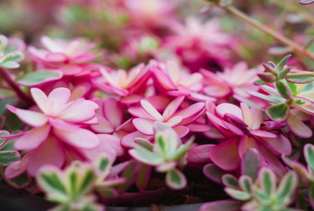 晋宁 诗意的栖居地